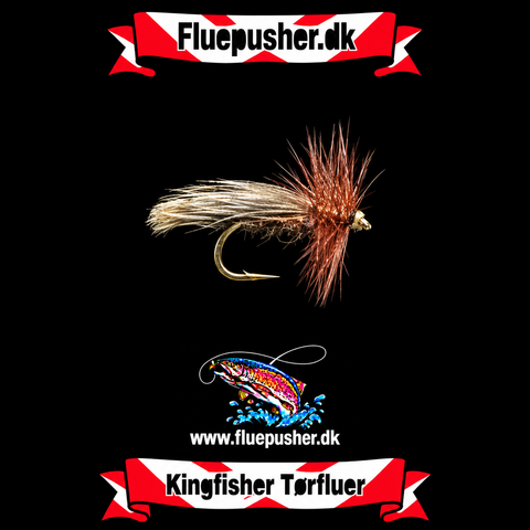Europa 12 brown