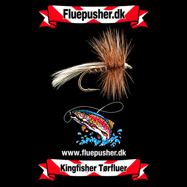 Europa 12 natural