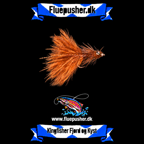 Kingfisher Fjord og Kyst – Ulkeungen Brun