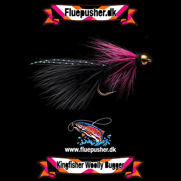 Black pink woolly bugger – Kingfisher Woolly Bugger