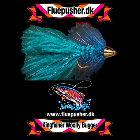 Blue conehead woolly bugger