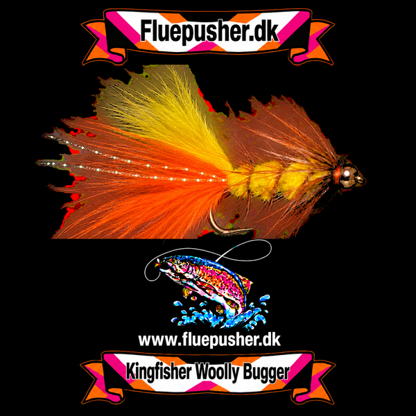 Orange/yellow woolly bugger – Kingfisher Woolly Bugger