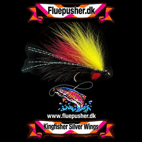 Silver wing black