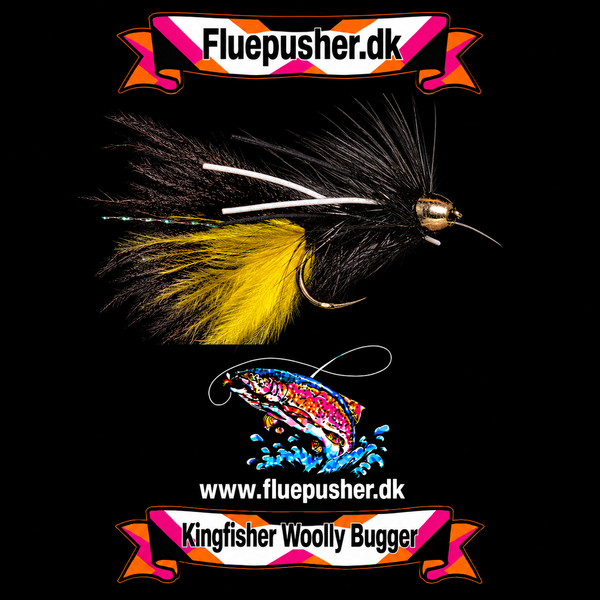 White legged conehead woolly bugger – Kingfisher Woolly Bugger