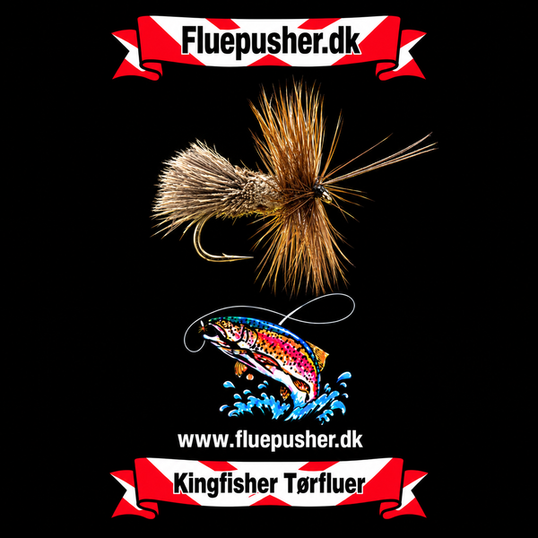 Goddard caddis