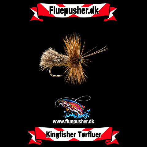 Goddard caddis