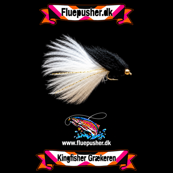 Black Græker long tail – harmonisk hale