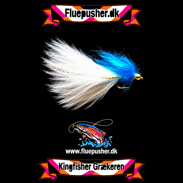 Blue Græker long tail – harmonisk hale