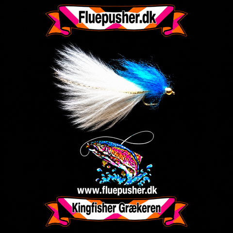 Blauer griechischer Langschwanz