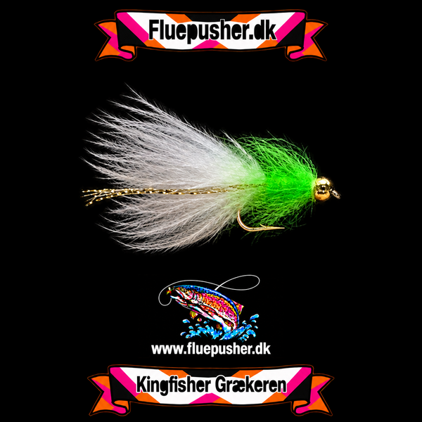 Chartreuse Græker dancer – harmonisk hale