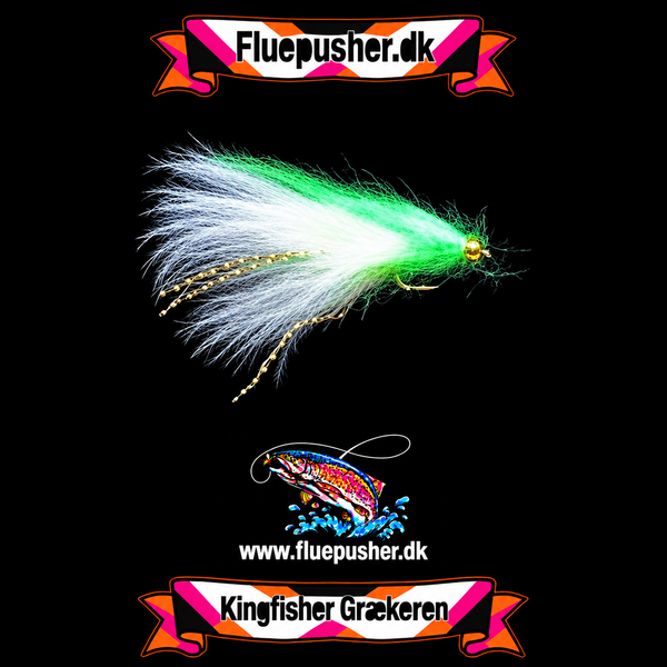 Chartreuse Græker long tail – harmonisk hale