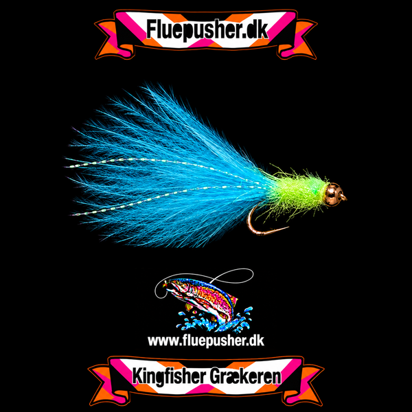 Chartreuse/blå UV græker stinger – harmonisk hale