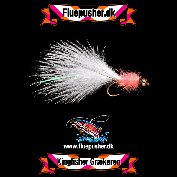 Coral Græker – fulde halefibre