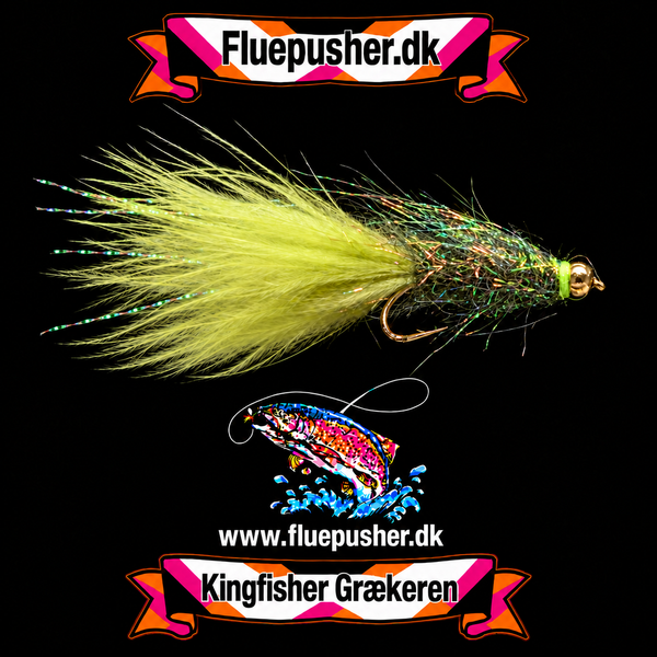 Græker oliven widegap UV nyheder – fulde halefibre