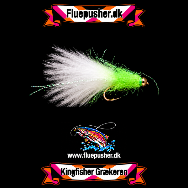 Grøn Græker stinger UV light-Nyhed – harmonisk hale