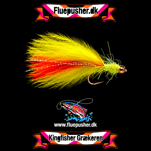 Gul/rød/gul Græker stinger uv – harmonisk hale