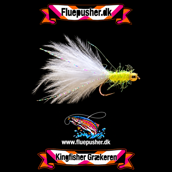 Hvid/gylden Græker stinger uv – harmonisk hale