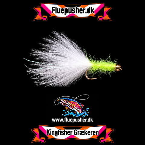 Eis-Chartreuse-Flash-Schwanz aus griechischem Kristall