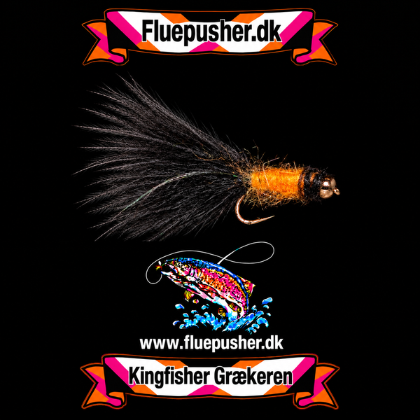 Orange Græker – harmonisk hale