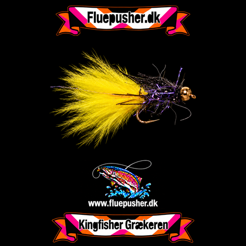 Rough yellow tail græker