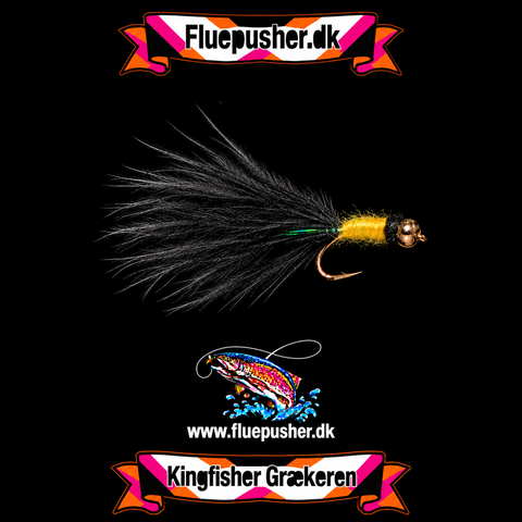 Yellow black tailed græker widegap