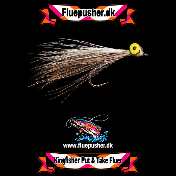 Grey deep minnow