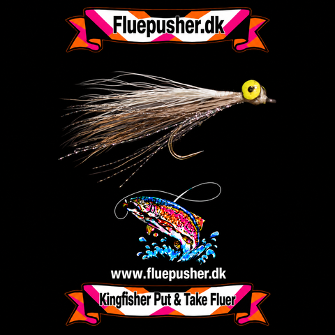 Grey deep minnow