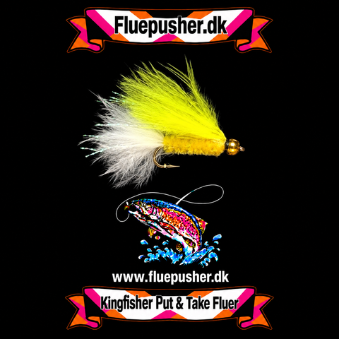 a Gul/hvid cats whisker deep Vinter