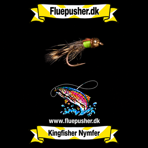 Hares ear brown wingcase gh