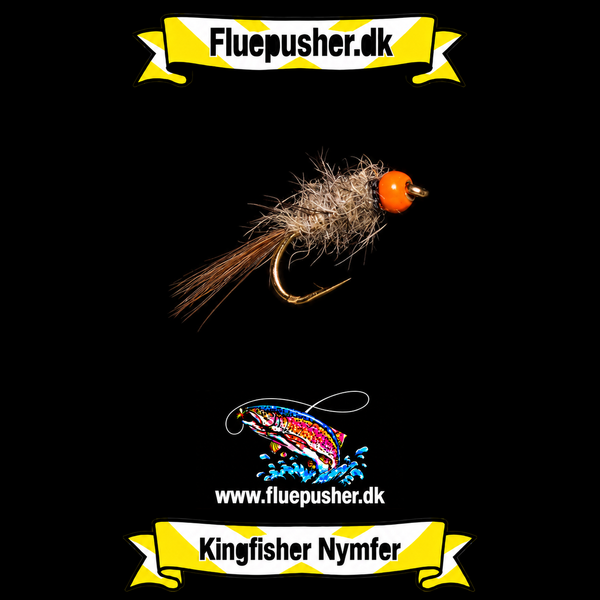 Hares Ear orange but – Kingfisher Nymfer