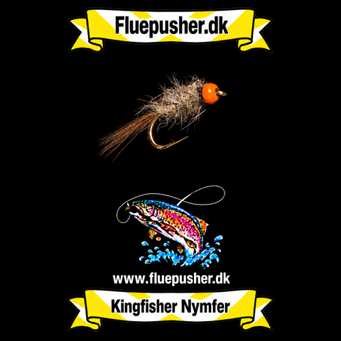 Hasenohr orangefarbener Hintern