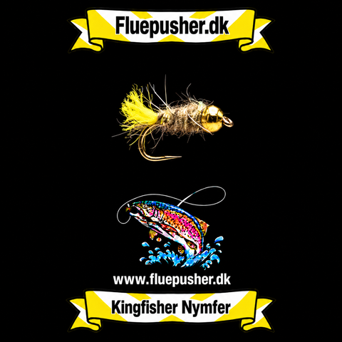Hasenohr gelber Schwanz gh