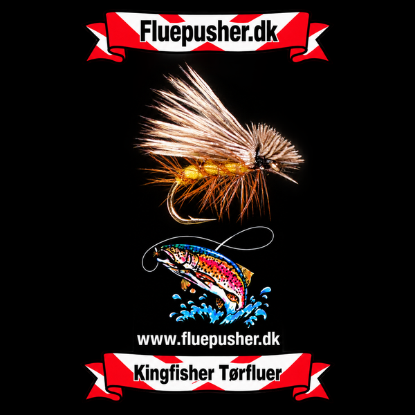 Hollands fancy – Kingfisher tørflue