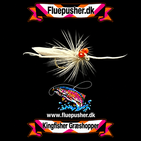Hvid Græshoppe
