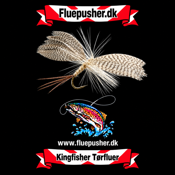 Hvid maj flue