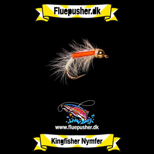 Hvid snatcher – Kingfisher Nymfer
