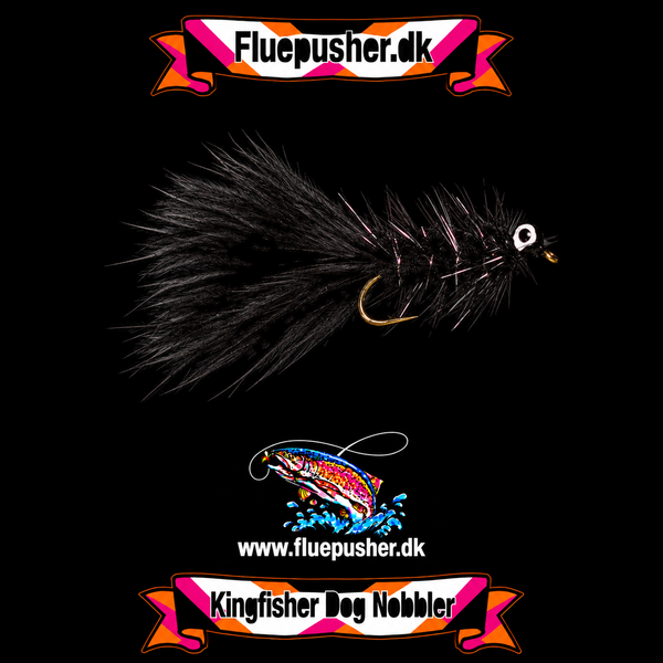 Black Dog Nobbler på Kingfisher-baggrund