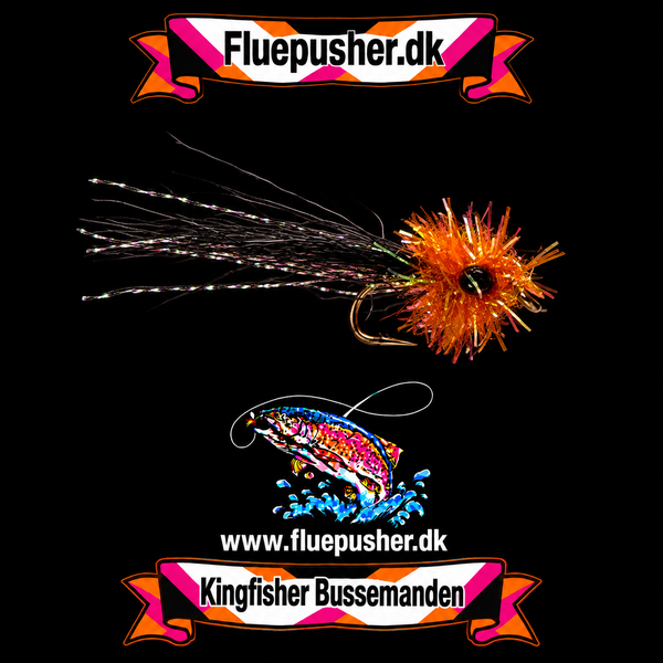 Bussemanden amber på Kingfisher-baggrund