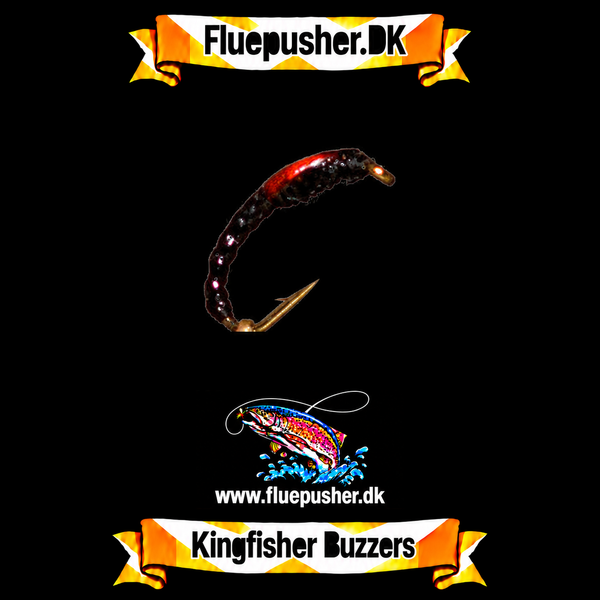 Kingfisher Buzzers – Kingfisher orange cheeks flexi floss buzzer