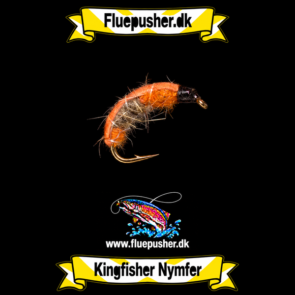 Zcech nymph 15 – Kingfisher Nymfer