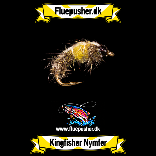 Zcech nymph 1 – Kingfisher Nymfer