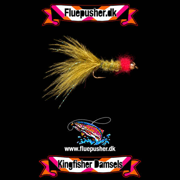 Olive red beaded damsel på Kingfisher-baggrund