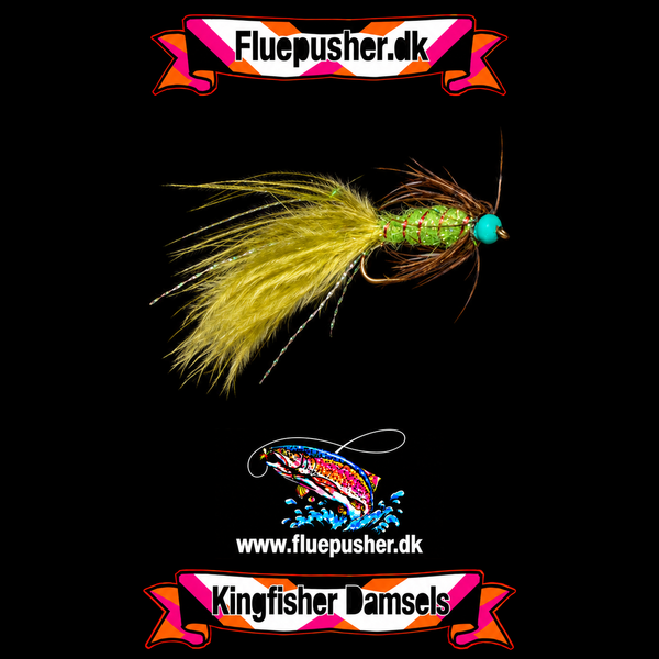 Tungsten green but damsel på Kingfisher-baggrund