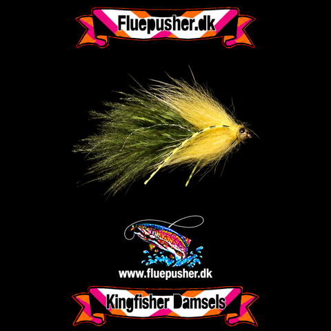 Yellow legged damsel