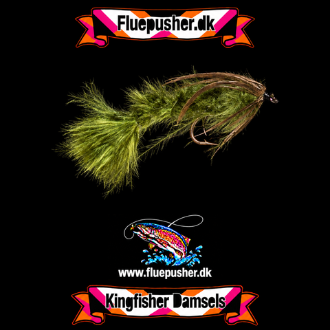 Olive brown damsel