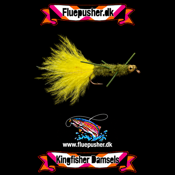 Olive crosslegged damsel på Kingfisher-baggrund