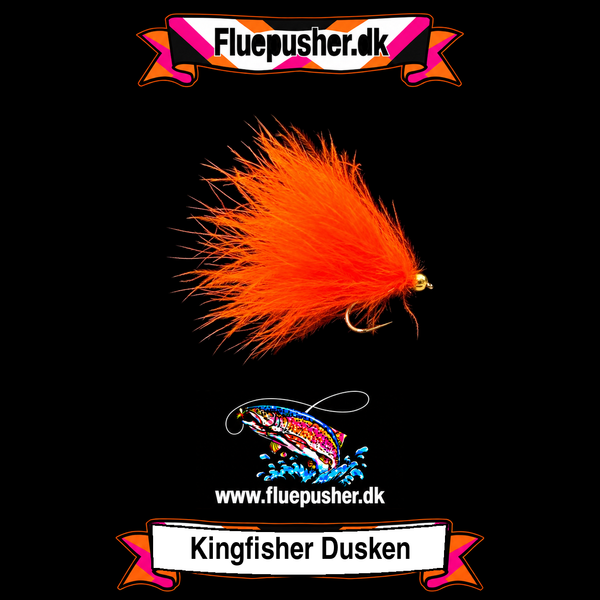 Kingfisher Dusken orange