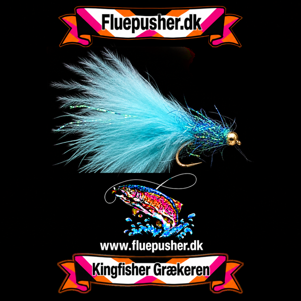 Blå ice mini Græker – Kingfisher Grækeren