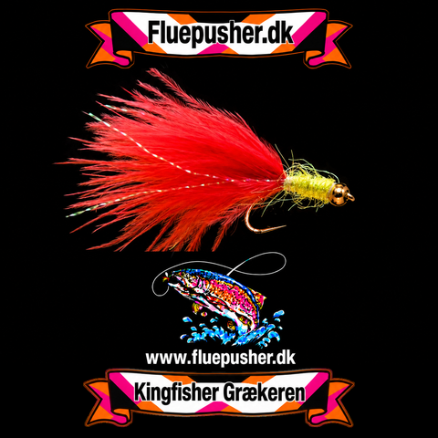 Gylden/rød Græker stinger uv