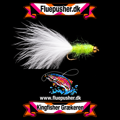 Grøn Græker stinger uv